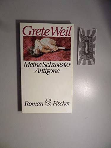 9783596252701: Meine Schwester Antigone