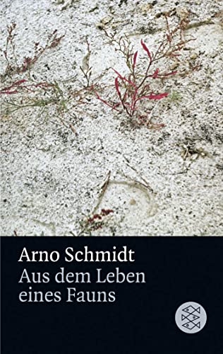 9783596291120: Aus dem Leben eines Fauns: Kurzroman