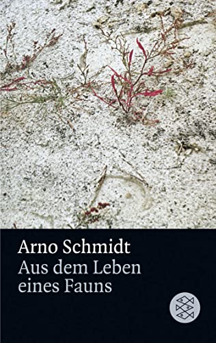 Stock image for Aus dem Leben eines Fauns. Kurzroman. for sale by Antiquariat Matthias Wagner