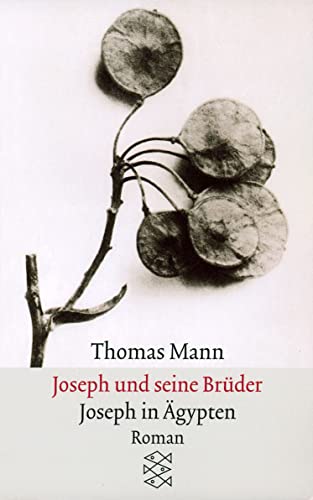 Beispielbild fr Joseph und seine Brder. Joseph in gypten. (Thomas Mann, Gesammelte Werke in Einzelbnden. Frankfurter Ausgabe. Taschenbuchausgabe) zum Verkauf von Trendbee UG (haftungsbeschrnkt)