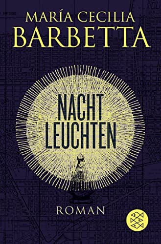 Stock image for Nachtleuchten: Roman for sale by medimops