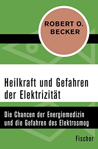 Imagen de archivo de Heilkraft und Gefahren der Elektrizitt: Die Chancen der Energiemedizin und die Gefahren des Elektrosmogs a la venta por medimops