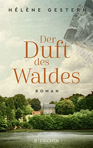 Stock image for Der Duft des Waldes: Roman for sale by medimops