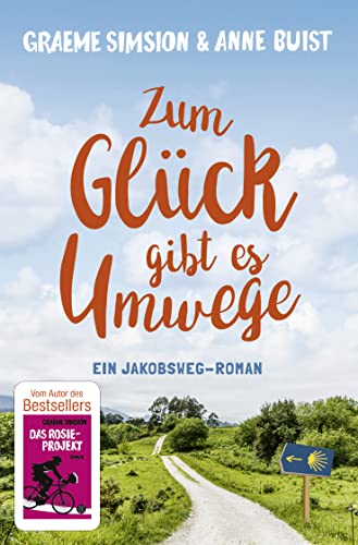 Stock image for Zum Glck gibt es Umwege: Roman for sale by Revaluation Books