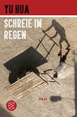 9783596702794: Schreie im Regen: Roman