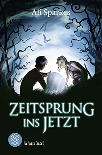 Zeitsprung ins Jetzt: Ausgezeichnet mit dem Blue Peter Book of the Year 2010 [Paperback] Sparkes, Ali; Fritz, Franca and Koop, Heinrich - Sparkes, Ali