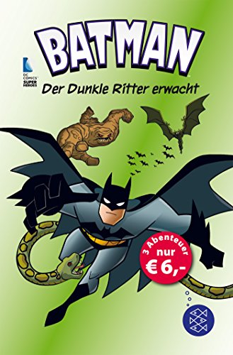 Beispielbild fr Batman - Der Dunkle Ritter erwacht zum Verkauf von AwesomeBooks