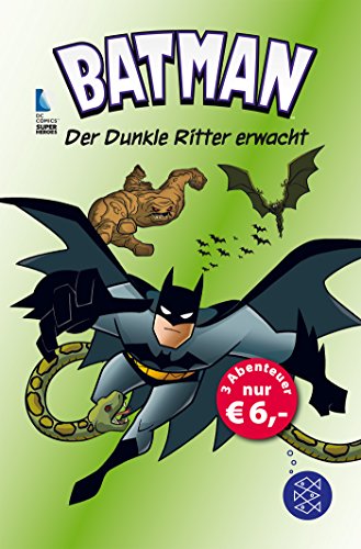 Stock image for Batman - Der Dunkle Ritter erwacht for sale by AwesomeBooks