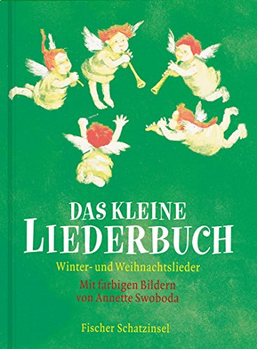 Stock image for Das kleine Liederbuch: Winter- und Weihnachtslieder for sale by medimops
