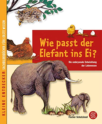 Imagen de archivo de Kleine Entdecker - Wie passt der Elefant ins Ei?: Die embryonale Entwicklung der Lebewesen a la venta por medimops