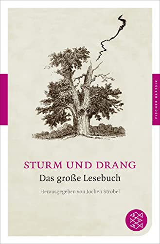 Sturm und Drang: Das große Lesebuch - Strobel, Jochen