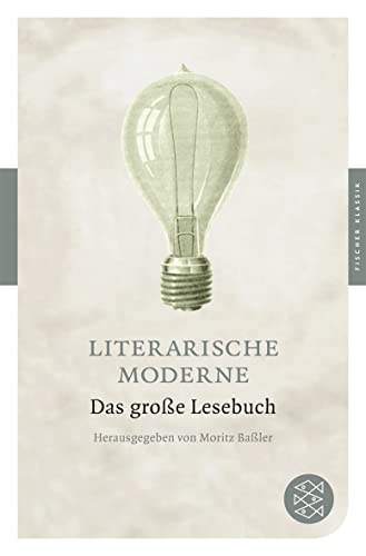 9783596902521: Literarische Moderne: Das groe Lesebuch