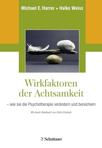 Imagen de archivo de Wirkfaktoren der Achtsamkeit -Language: german a la venta por GreatBookPrices