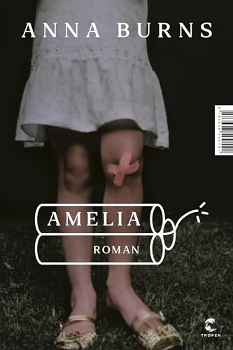 Beispielbild fr Amelia: Roman zum Verkauf von medimops