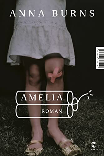 9783608500141: Amelia: Roman