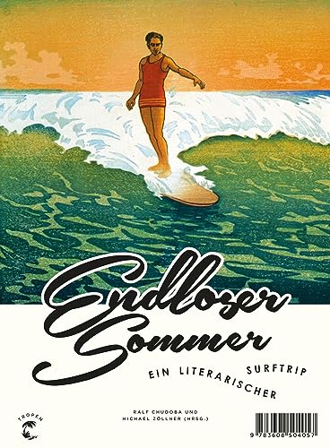 9783608504057: Endloser Sommer: Ein literarischer Surftrip
