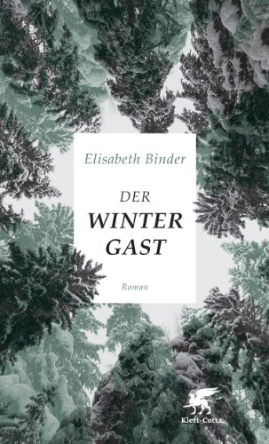 9783608938906: Der Wintergast: Roman