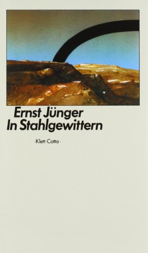 9783608952087: In Stahlgewittern