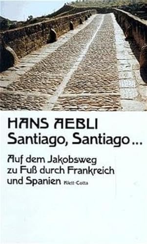 9783608953961: Santiago Santiago...: Auf dem Jakobsweg zu Fu durch Frankreich und Spanien