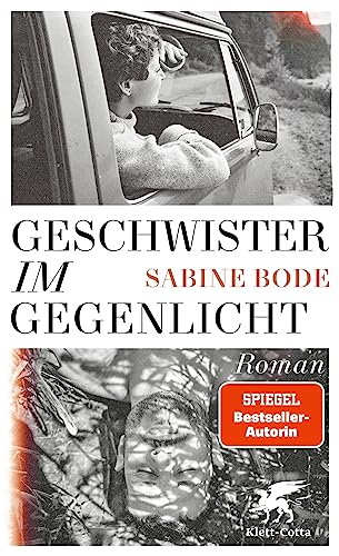 Stock image for Geschwister im Gegenlicht: Roman for sale by medimops