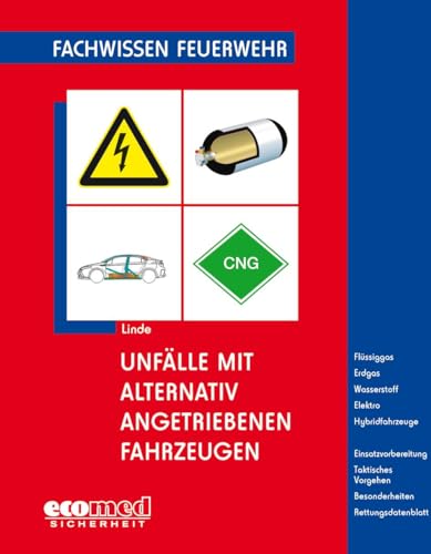 Beispielbild fr Unflle mit alternativ angetriebenen Fahrzeugen zum Verkauf von medimops