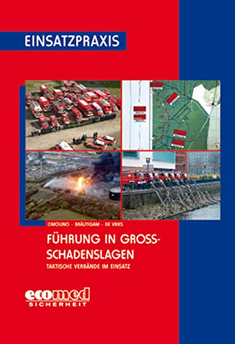 Stock image for Fhrung in Groschadenslagen: Taktische Verbnde im Einsatz for sale by GF Books, Inc.