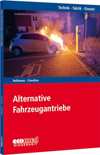 Stock image for Alternative Fahrzeugantriebe for sale by GreatBookPrices