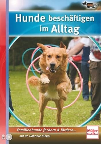 9783613306080: Hunde beschftigen im Alltag: Familienhunde fordern und frdern [Alemania] [DVD]