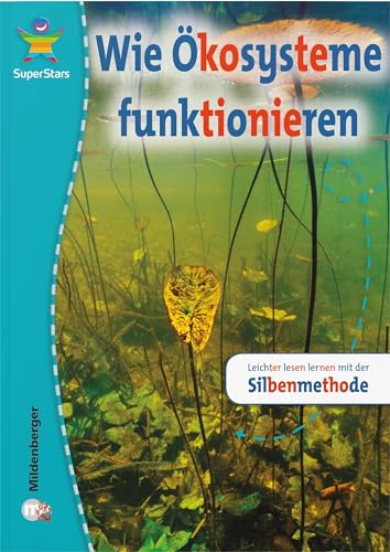 9783619242436: SuperStars: Wie Okosysteme funktionieren