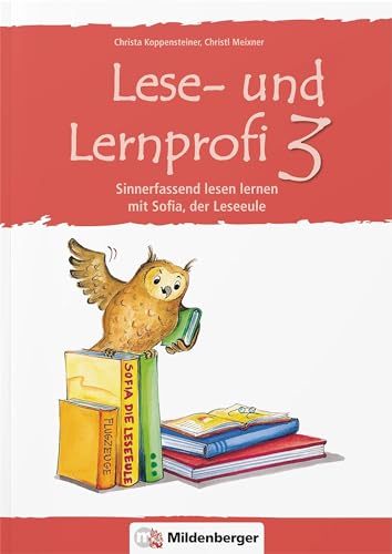 Stock image for Lese-u.Lernprofi 3: Sinnerfassend lesen lernen mit Sofia, der Lese-Eule, Arbeitsheft for sale by medimops