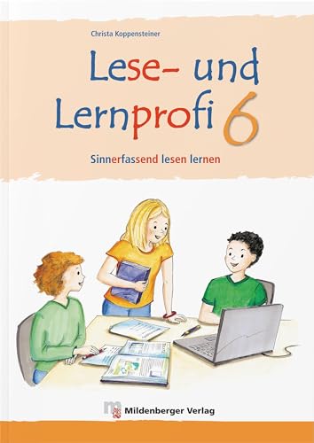 Stock image for Lese- und Lernprofi 6 - Schlerarbeitsheft - silbierte Ausgabe: Sinnerfassend lesen lernen in Klasse 6 for sale by medimops
