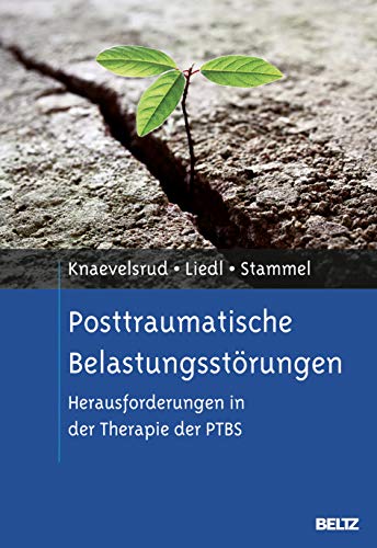 Posttraumatische Belastungsstörungen: Herausforderungen in der Therapie der PTBS - Knaevelsrud, Christine, Liedl, Alexandra