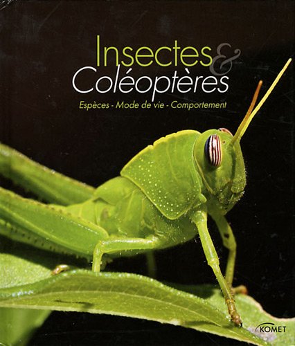 Beispielbild fr Insectes et coloptres : Espces, mode de vie, comportement zum Verkauf von medimops