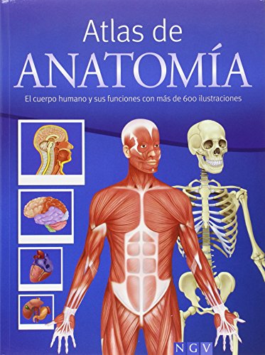 9783625006114: Atlas de anatoma: El cuerpo humano y sus funciones con ms de 600 ilustraciones