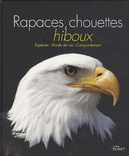 Stock image for Rapaces, Chouettes & Hiboux for sale by RECYCLIVRE