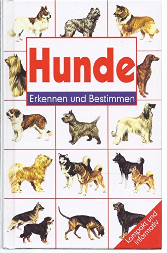 Stock image for Hunde - [erkennen und bestimmen]. for sale by Antiquariat + Buchhandlung Bcher-Quell