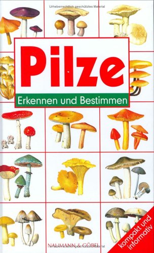 Stock image for Pilze - Erkennen und bestimmen / Illustrationen von Bernard Robinson / Deutscher Text von Maria Husler / kompakt und informativ for sale by ralfs-buecherkiste