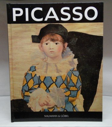 Stock image for Picasso 1881-1973 for sale by medimops