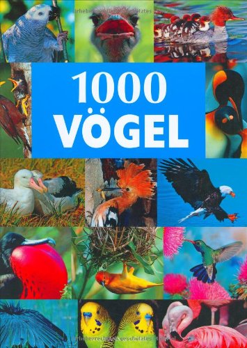 9783625107743: 1000 Vgel