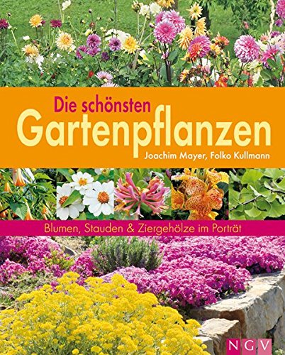 Beispielbild fr Die schnsten Gartenpflanzen: Blumen, Stauden & Ziergehlze im Portrt zum Verkauf von medimops