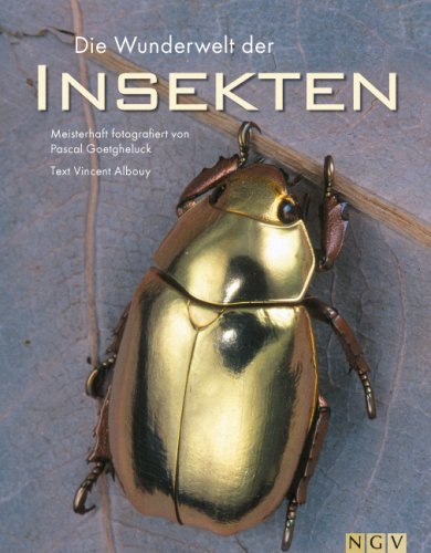 Die Wunderwelt der Insekten. Meisterhaft fotografiert von Pascal Goetgheluck.