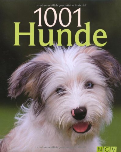 Stock image for 1001 Hunde for sale by medimops