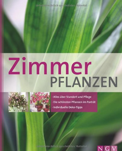 Stock image for Zimmerpflanzen: Alles ber Standort und Pflege - Die schnsten Pflanzen im Portrt - Individuelle Deko-Tipps for sale by medimops