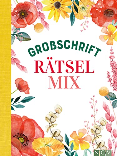 Beispielbild fr Groschrift Rtselmix zum Verkauf von Blackwell's