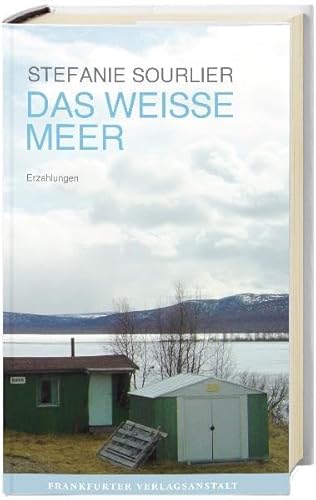 Stock image for Das weie Meer: Erzhlungen for sale by medimops