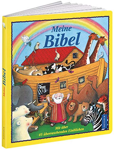 Meine Bibel. Mit ï¿½ber 45 ï¿½berraschenden Einblicken.