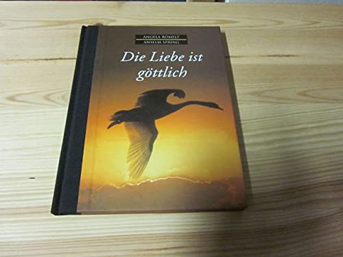 Stock image for Die Liebe ist gttlich for sale by Antiquariat Armebooks