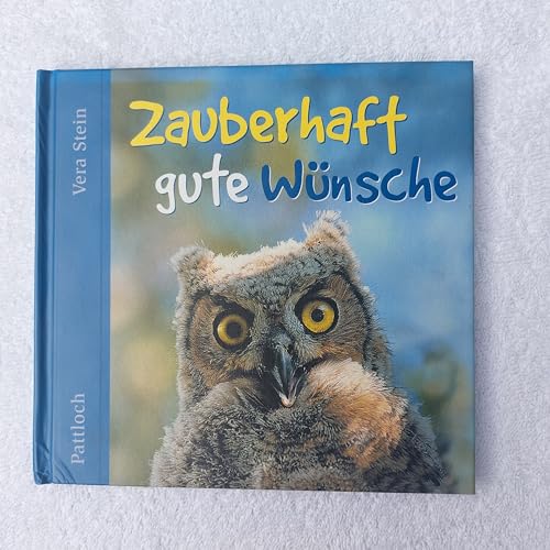 Zauberhaft gute Wünsche :