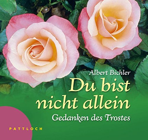 Stock image for Du bist nicht allein Trost in der Trauer for sale by Antiquariat Buchhandel Daniel Viertel