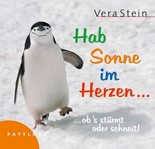 Hab Sonne im Herzen, ob's stürmt oder schneit - Vera Stein